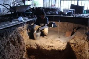 Read more about the article Одделение за предисториска археологија