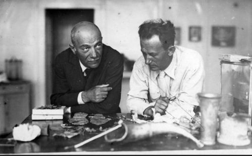 д-р Никола Вулиќ