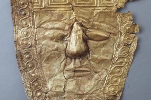 Read more about the article Наскоро отворање на изложбата ,,100 години Требениште”