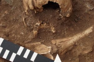 Read more about the article Откриена нова гробна конструкција на локалитетот Градиште – Бучинци