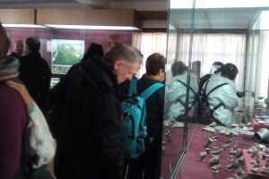 Read more about the article Домашни и странски посетители на Музејската збирка во Кочани