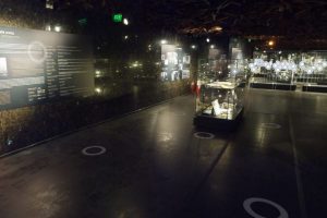 Read more about the article Виртуелна посета на ,,100 години Требениште”