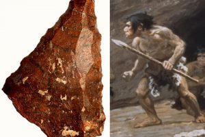 Read more about the article Палеолитскиот човек во старото камено време