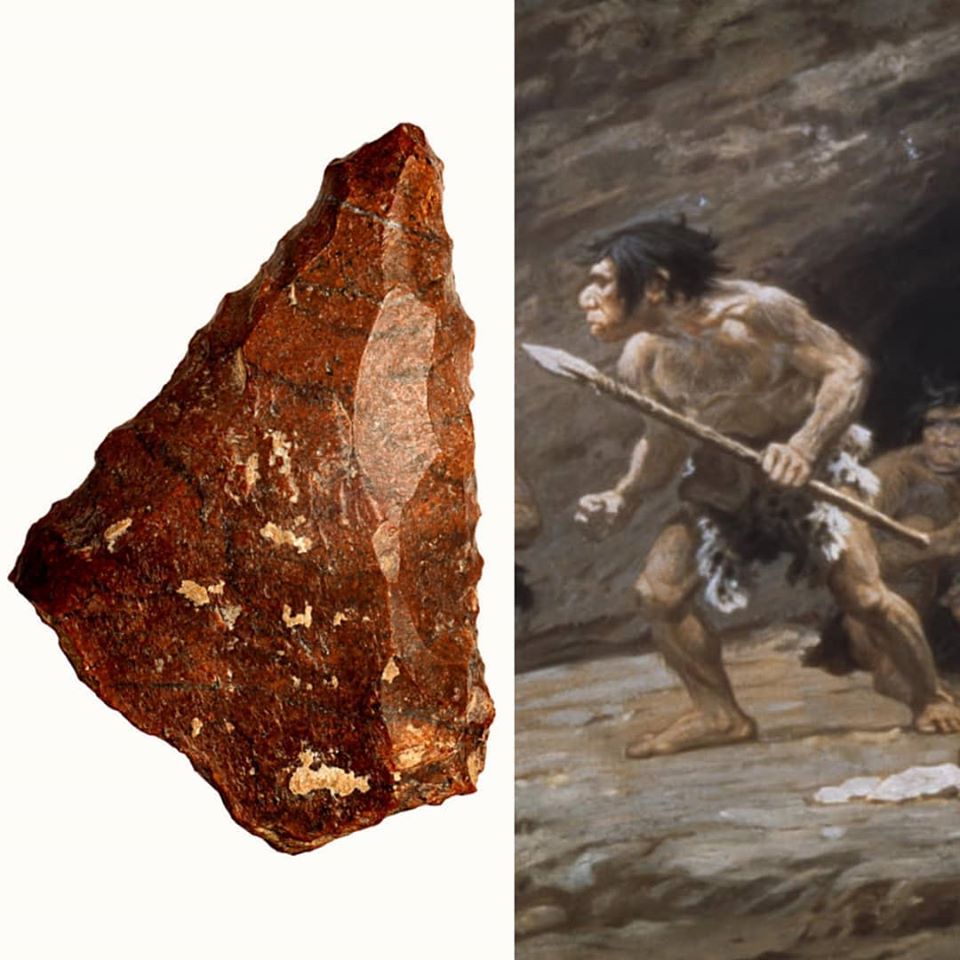 Палеолитскиот човек во старото камено време