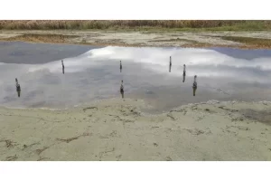 Read more about the article Systematic prospection of the terrain in the area of ​​the village Nakolec, Prespa