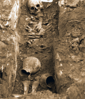 Антропологија