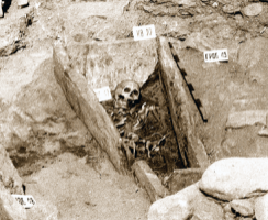 Антропологија