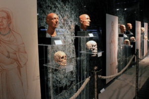 Антропологија