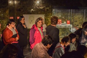 Интернационален ден на археологијата